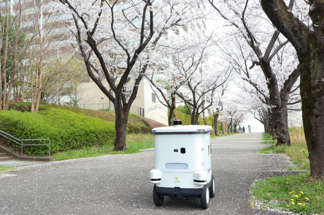 自律走行ロボットと桜